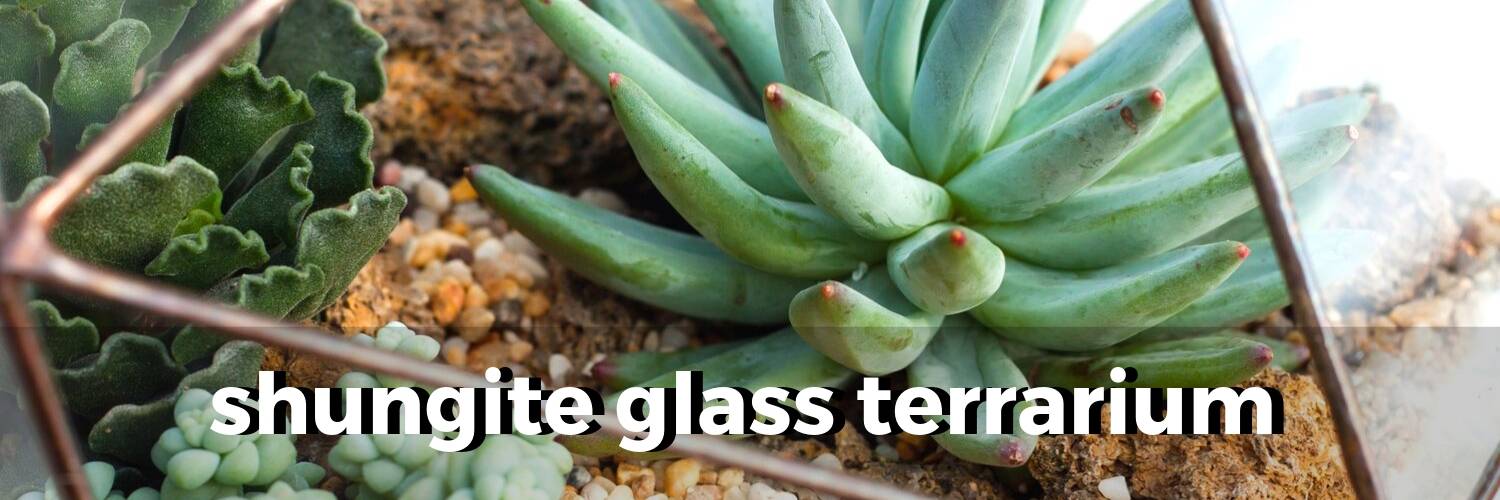 glass-terrariums-with-shungite
