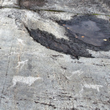 Prehistoric Graffiti: The Mystery of Petroglyphs