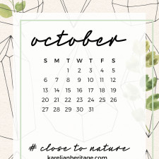 Crystal Phone Wallpaper & October 2019 Calendar by Karelian Heritage