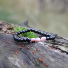 Shungite and pink opal crystal bracelet