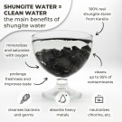 Elite shungite fullerene water stones 50 grams ( 15-30 grams each)