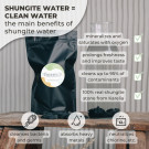 Regular Shungite Water Stones for Purification and Detoxification (1 lb/450 gr)