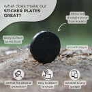 Only in Canada | Polished Shungite Sticker 5 for 4 Set