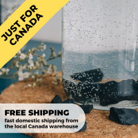 Only in Canada | Regular Shungite Water Stones for Purification and Detoxification (0,39 lb/180 gr)  poip_id=