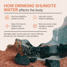 Regular Shungite Water Stones for Purification and Detoxification (2 lb/900 gr)