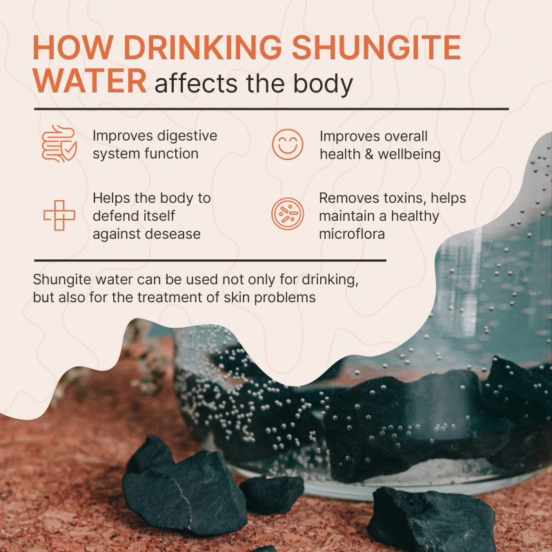 wellness hut Shungite Stones Authentic Tier III Karelian Rocks for Drinking  Water Infusion - Natural Minerals with High Fullerenes Content - 1-Pound Bag