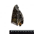 Raw Authentic Elite Shungite Stone from Karelia  0,44 lbs 